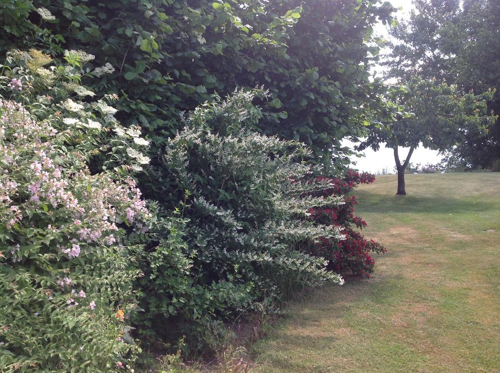 Bogebjerggard Bed & Breakfast Sønderborg Kültér fotó