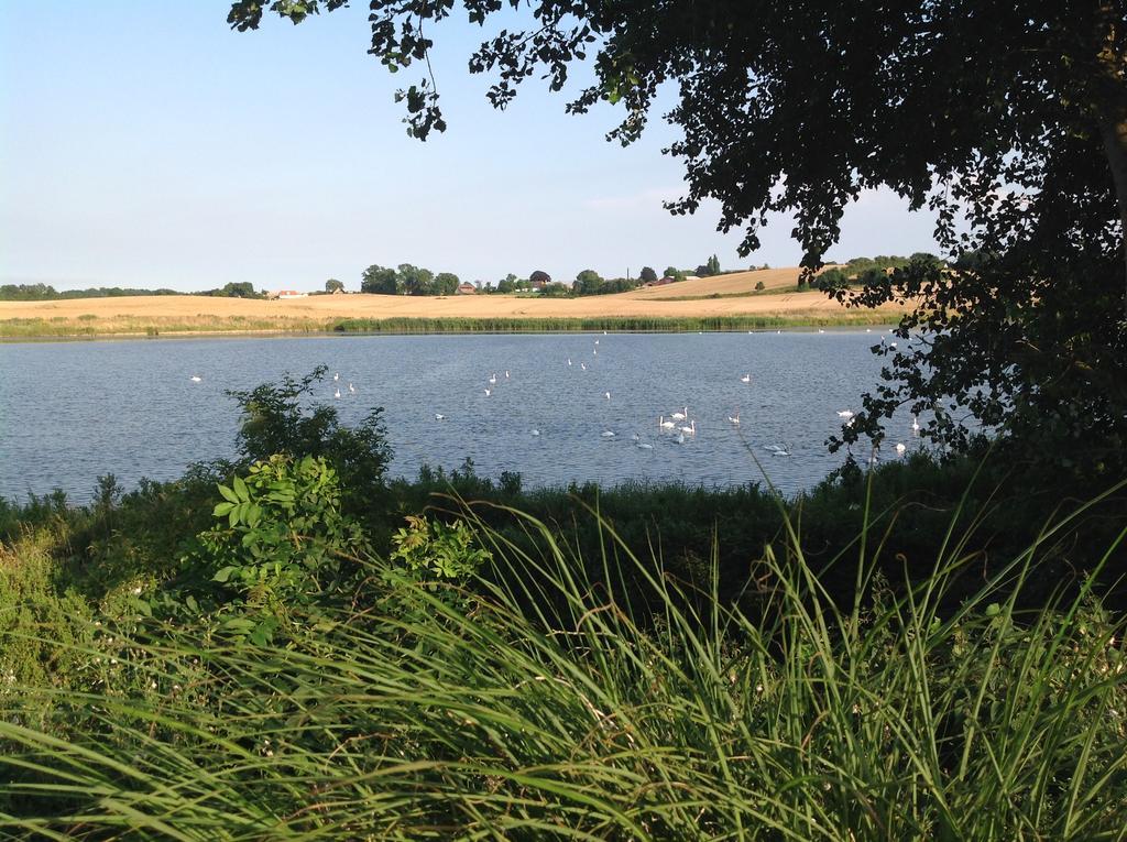 Bogebjerggard Bed & Breakfast Sønderborg Kültér fotó