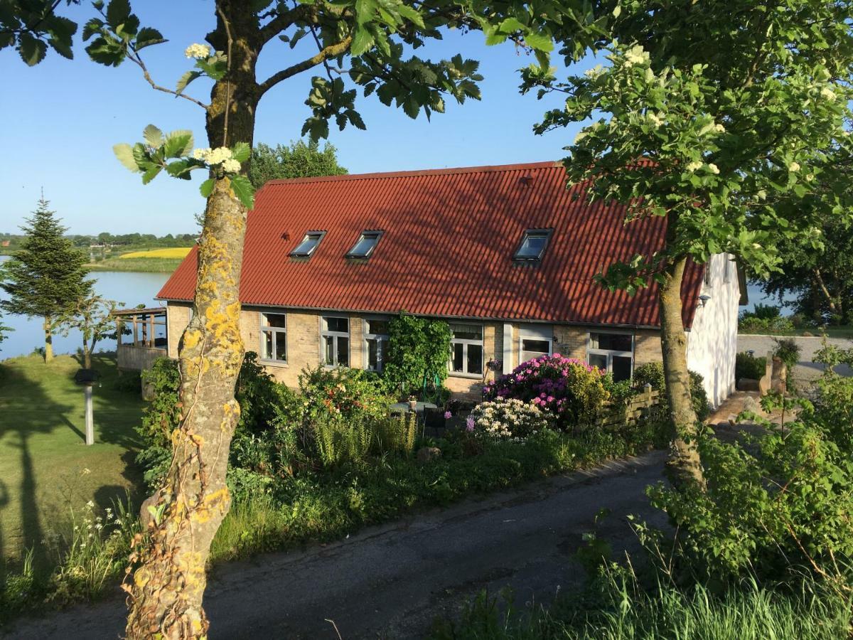 Bogebjerggard Bed & Breakfast Sønderborg Kültér fotó