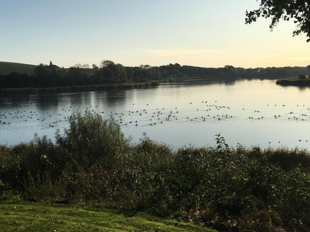 Bogebjerggard Bed & Breakfast Sønderborg Kültér fotó